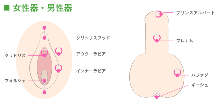 ピアスの穴あけは安心の皮膚科で京都 滋賀の大西皮フ科形成外科医院